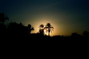 Luxor travelogue picture