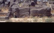 Ain Dara, Syria, animals, carved in black basalt. Ain Dara, Syria, animals, carved in black basalt.