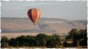Wild migration through baloon flight. Wild migration through baloon flight.
