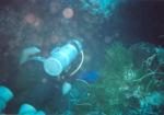 Mackay travelogue picture