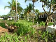 The Madang Lodge
