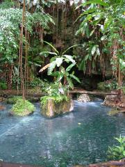 The Sulfur Springs