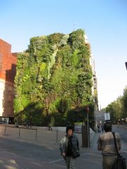 Vertical Garden, CaixaForum