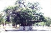 Mahajanga travelogue picture