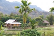 Mai Chau