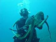 Makarska travelogue picture
