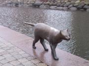 Cats along Torggatan