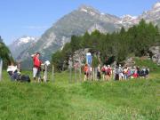 Maloja travelogue picture
