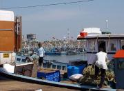 Fishermen in Ullal