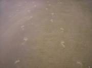 Footsteps on the sands