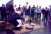 Snake charmer on the Square Snake charmer on the Square