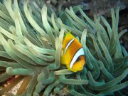 Marsa al `Alam travelogue picture
