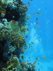 Marsa al `Alam travelogue picture