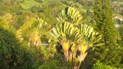 The front yard at Ekena!