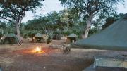 Our camp as we came home after an eventful gamedrive on chobe river