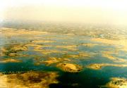 Aerial view of the swamps