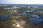 Maun travelogue picture