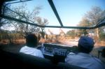 Maun travelogue picture