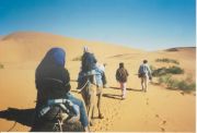 Merzouga travelogue picture