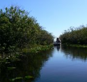 On the Everglades