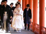 The wedding party