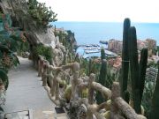 Exotic Gardens