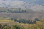 Landscape again