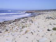 A nice spot at Pebble Beach