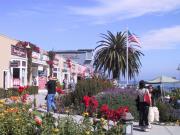 A look at the busy Montery waterfront.