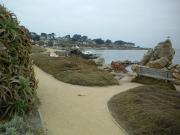 Monterey travelogue picture