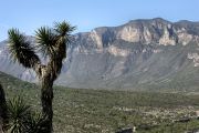 Desert Landscape Near Grutas de Garcia Desert Landscape Near Grutas de Garcia
