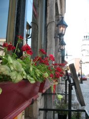 Street cafe