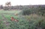 Mpumalanga travelogue picture