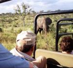 Mpumalanga travelogue picture