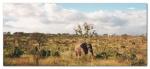 Mpumalanga travelogue picture