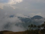 Rajamalai......ervikulam national park