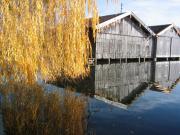 Murnau am Staffelsee travelogue picture