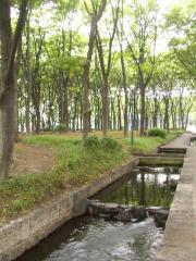 Nagoya Park
