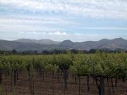 Napa Valley