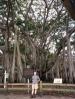 Naples travelogue picture