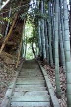 Narita travelogue picture