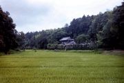 Narita travelogue picture