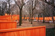 New York travelogue picture
