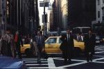 New York travelogue picture