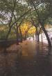 New York travelogue picture