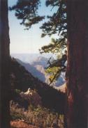 North Rim travelogue picture