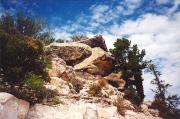 Looking up at the Grand Canyon.