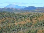 The West coast - horseback country! The West coast - horseback country!
