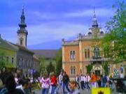 Zmaj Jovina Street