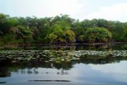 Nzulezu travelogue picture